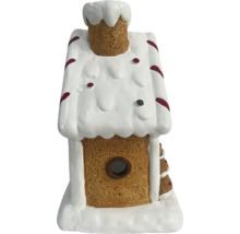 Decoratief peperkoekhuis voor de kerstperiode