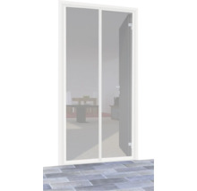 Vliegengaasdeur in deurkozijn