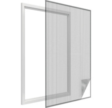 Insectenhor voor venster