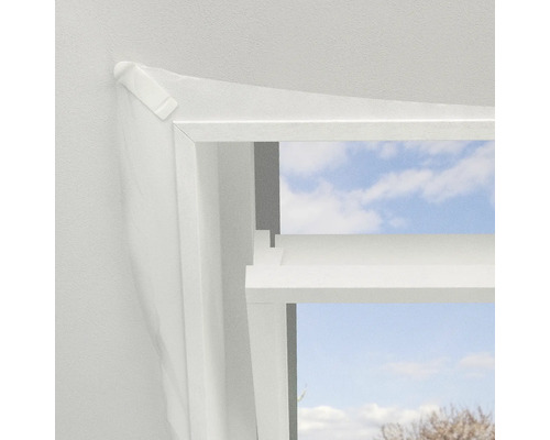 Detailopname van een insectenhor op een raamkozijn.