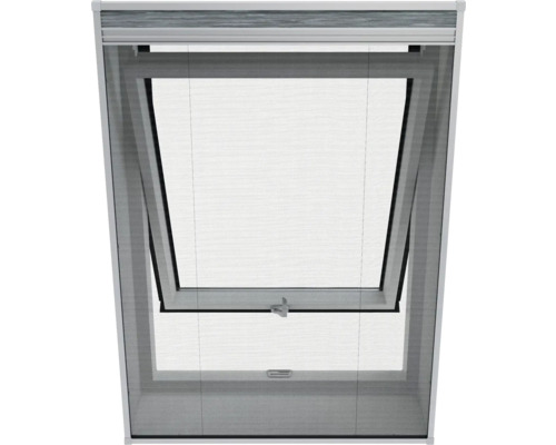 Dakvenster met insectenhor