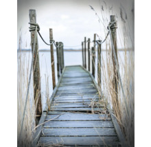 Houten steiger met touwen en palen aan de oever van het meer