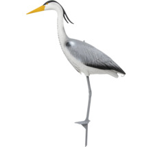 Reiger nep om vijverrovers af te schrikken