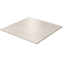 Afzonderlijke keramische vloertegel