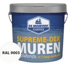 Emmer muurverf, geschikt voor muren en plafonds