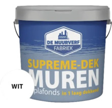 Emmer witte muurverf voor muren en plafonds