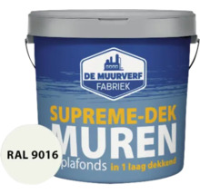 Verfemmer met muurverf