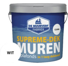 Verfemmer met muurverf voor muren en plafonds