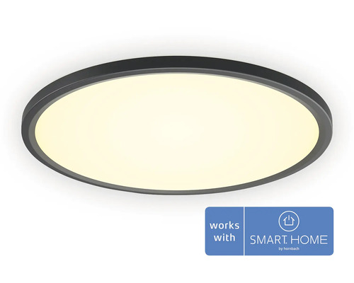 PHILIPS Hue White Ambiance LED paneel Tento Ø 42 cm CCT zwart