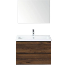 Wastafelmeubel met spiegel, wastafel en onderkast met twee laden