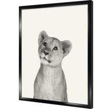 Ingelijste zwart-wit poster met een jonge leeuw