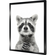 Zwart-wit poster van een wasbeer in lijst
