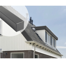 Huis met dakgoot en detailopname van het dakrandprofiel