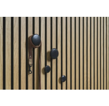 Houten paneel met vier ronde kapstokhaakjes en een hondenriem