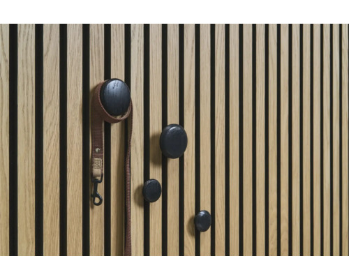 Houten paneel met vier ronde kapstokhaakjes en een hondenriem