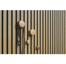 Houten wand met ronde kapstokken en hondenriem