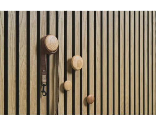 Houten wand met ronde kapstokken en hondenriem