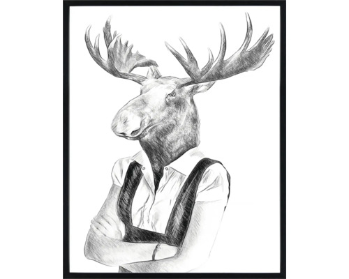 Schilderij met lijst Grappige eland schets zwart wit 40x50 cm Ingelijste afbeelding van een eland met overhemd en bretels