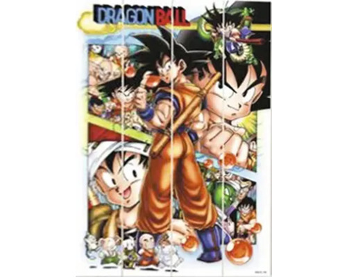 THE WALL Decopaneel Dragon Ball 70x50 cm Dragon Ball Meerdelige muurschildering