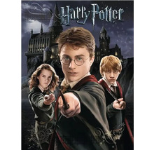 Harry Potter filmaffiche met Hogwarts en de hoofdpersonen