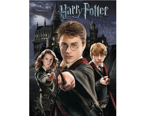 THE WALL Decopaneel Harry Potter 70x50 cm Harry Potter filmaffiche met Hogwarts en de hoofdpersonen