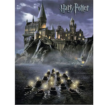 Harry Potter poster met Zweinstein en boten