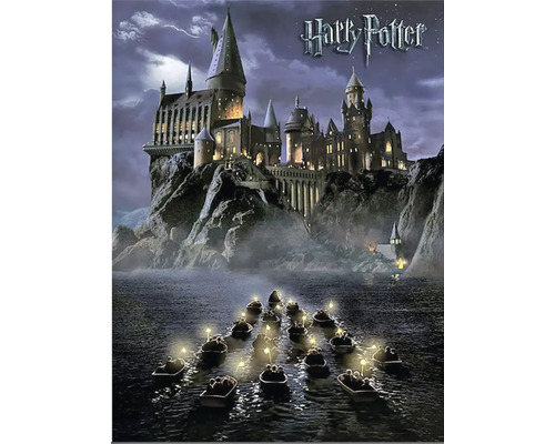 Harry Potter poster met Zweinstein en boten