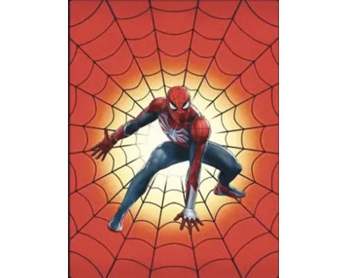 Spider-Man voor spinnenweb
