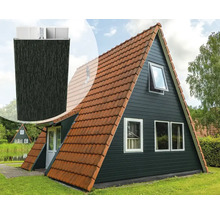 Vakantiehuis met zadeldak en gevelbekleding