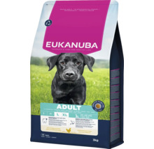 Eukanuba Adult droogvoer voor honden met kip in verpakking van 3 kilogram