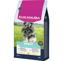 Eukanuba Adult hondenvoer voor volwassen honden tot 10 kilogram, 12 kilogram verpakking