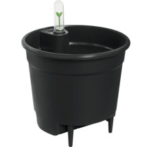 Zwarte bloempot met waterindicator en kleine scheut