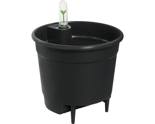 Zwarte bloempot met waterindicator en kleine scheut