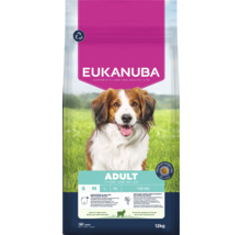 Eukanuba Adult hondenvoer met lam en rijst voor honden van één tot zeven jaar