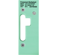 Deurslot sluitplaat met uitsparing