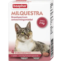 Milquestra wormtabletten voor katten vanaf twee kilogram