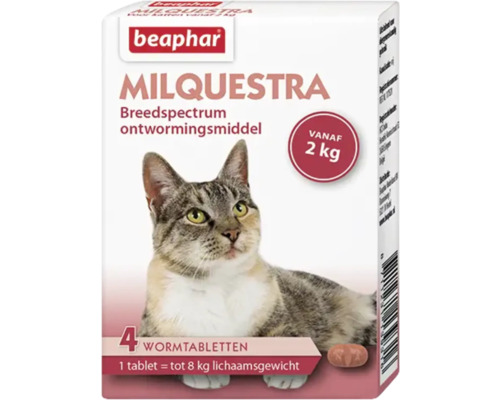 Milquestra wormtabletten voor katten vanaf twee kilogram