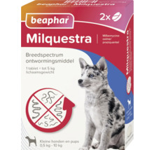 Beaphar Milquestra ontwormingsmiddel voor kleine honden en puppy's, 2 tabletten