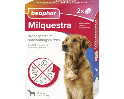 Beaphar Milquestra breedspectrum ontwormingsmiddel voor honden, verpakking