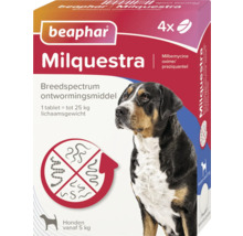 Beaphar Milquestra breedspectrum ontwormingsmiddel voor honden tot 25 kilogram lichaamsgewicht