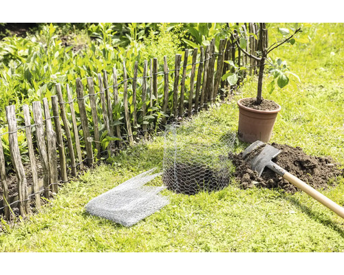 Tuinscène met een houten hek, een jonge boom in pot, een spade en een gaas voor plantbescherming.