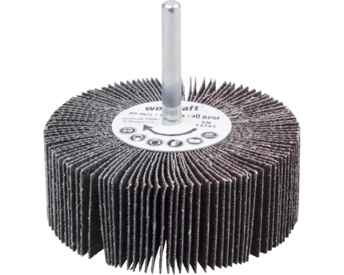 WOLFCRAFT rotorslijper Ø 80 mm korrel 60