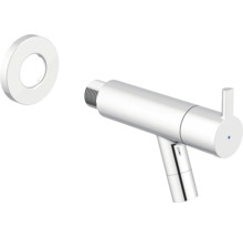 Bidetkraan met rozet voor de badkamer