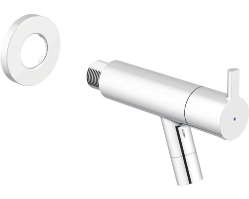 Bidetkraan met rozet voor de badkamer