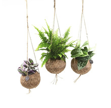 Drie hangplanten in kokosvezelbollen met verschillende plantsoorten