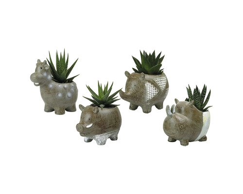 FLORASELF Vetplanten Succulenten mix in pot dieren potmaat Ø 6 cm H 15 cm Vier dierfiguren bloempotten met vetplanten