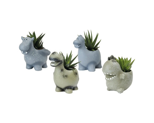 FLORASELF Vetplanten Succulenten mix in pot dinosaurus potmaat Ø 6 cm H 15 cm Vier dierfiguren plantenbakken met vetplanten