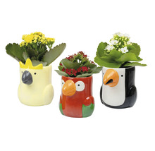 Drie dierlijke bloempotten met bloemen
