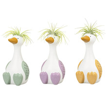 Drie decoratieve eenden met planten op een rij.