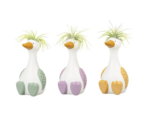 Drie decoratieve eenden met planten op een rij.